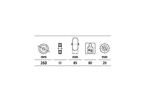 Rueda neumática indestructible diámetro 260 mm para carretillas miniatura 4