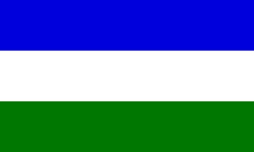 Drapeau Rorainopolis抗 anti-UV grand format qui ne décolore pas - 2