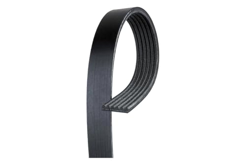 Courroie ACDelco 19244950 GM Original Equipment pour éviter les pannes