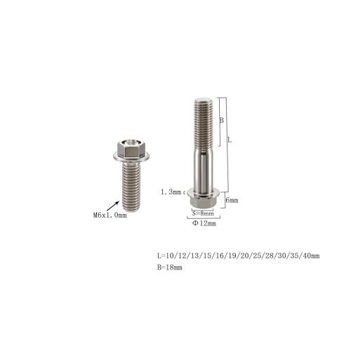 Image of Rison Titanium Bolts Titanium Flanged Hex Head Bolt M6x1.0x10mm 6AL4V Aerospace Grade Ti Bolt Original Color Titanium Bolt for Motorcycle Car Modification Pack of 5