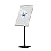 Floor Standing Poster Stand, Heavy Duty Multi-Purpose Advertising Display, Adjustable Banner Stand for Office & Hotel