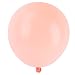 Fonder Mols Bachelorette Party Decorations Black and Hot Pink - 15 Tassels, 9pcs Tissue Paper Pom Poms, 4 Circle Garlands for Bridal Shower Wedding Party Decorations