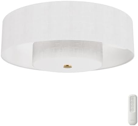 Hunter - Brookside Indoor Fandelier with Light, Remote, 30-inch, Casual-Style, 3-Speed WhisperWind Motor, 52974, Ceiling Fans for Living Rooms, bedrooms, Home Offices, Kitchens (Luxe Gold)