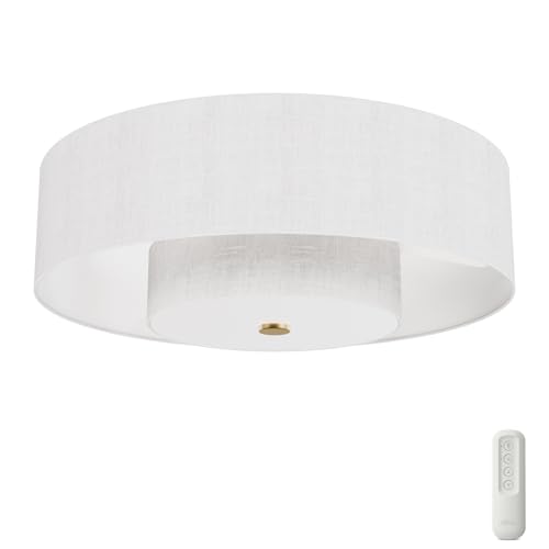 Hunter - Brookside Indoor Fandelier with Light, Remote, 30-inch, Casual-Style, 3-Speed WhisperWind Motor, 52974, Ceiling Fans for Living Rooms, bedrooms, Home Offices, Kitchens (Luxe Gold)