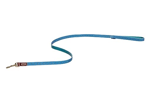 Fatface Spotty Bees Woven Genuine Leather Trim Metal Buckle Blue Dog/Puppy Lead Small 15mm 120 cm - Image 2
