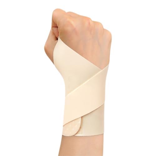  T|[^[ Œ ی T|[^[ʋC ew F≊ Œ ی yʁyd͌Œ/͒߁zی h~ pT|[^[ y z X|[c Ǝ 玙 p\R/X}z jp t[TCY(EA̐F)