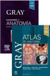 Lote Gray Anatomía: Gray Atlas de Anatomía + Gray Flashcards de Anatom