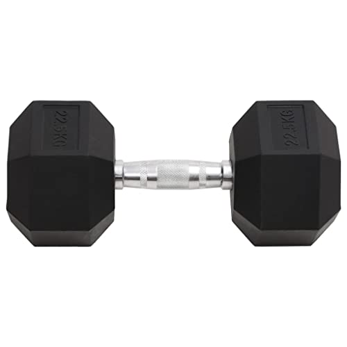 Haltère 22,5 kg Fonte pour musculation et entraînement à la maison