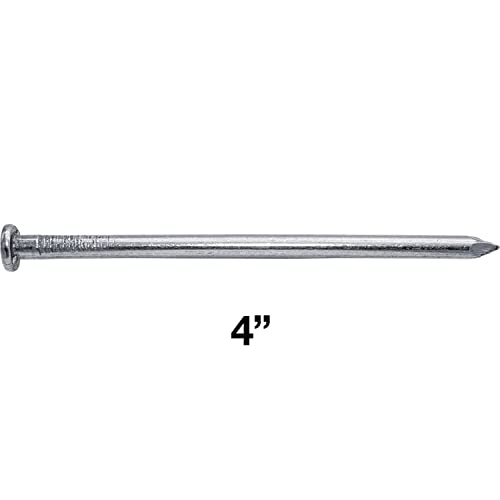 Clavo Marco Común Brillante 4" (20D) - Sujetador Resistente para Construcción - Acero Carbono sin Recubrimiento con Mango Liso - Caja 1 Libra (~26 Clavos) miniatura 2