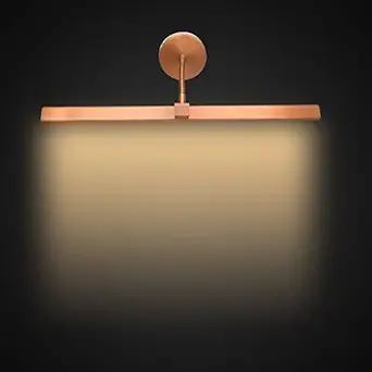 TRIPPING 12 Watt 3 in 1 Warm White,White.Natural White Light Led Display Adjustable up n Down Curve Flexible Neck Wall Lamp Picture Mirror Spot Focus Light Three in one Body Color (12WATT Rose Gold)