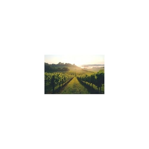 Poster paysage de montagne traditionnel fleurs vignoble ferme décor mural moderne chambre 70x100