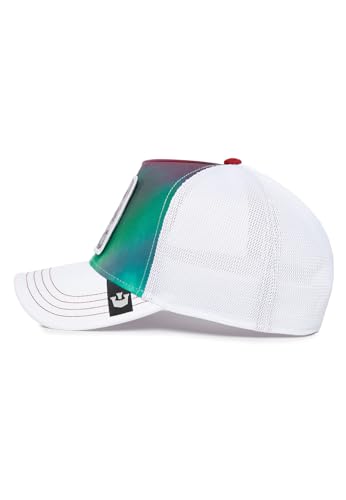Image of Goorin Bros. Arctic Sky Collection Trucker Hat