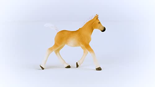 SCHLEICH Horse Club | Haflinger Fohlen 13951 | detailgetreues Pferd | tolles Geschenk für Mädchen und Jungen Pferde Spielzeug für Kinder ab 5 Jahren | 9 x 3 x 7cm