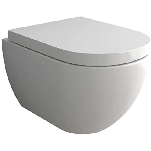 Alpenberger Toilette Spülrandlos | Hänge WC aus Sanitär Keramik & WC-Sitz Abnehmbar Softclose | Wand WC ohne Spülrand | Kloschüssel mit Nano Beschichtung | Passend zu Geberit | Made in Europa Cover