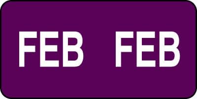 Doctor Stuff - Etiquetas de mes de carpetas de archivos, febrero, productos con pestañas - Pegatinas de la serie TMLV, morado, 12" x 1", 500rollo