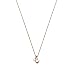 Produktbild Purelei® Brave Kette (Gold, Silber, Rosegold), Damen Halskette aus langlebigem Edelstahl, Wasserfester Schmuck mit Herz-Anhänger, 50-55 cm Länge verstellbar (Rosegold, Edelstahl)