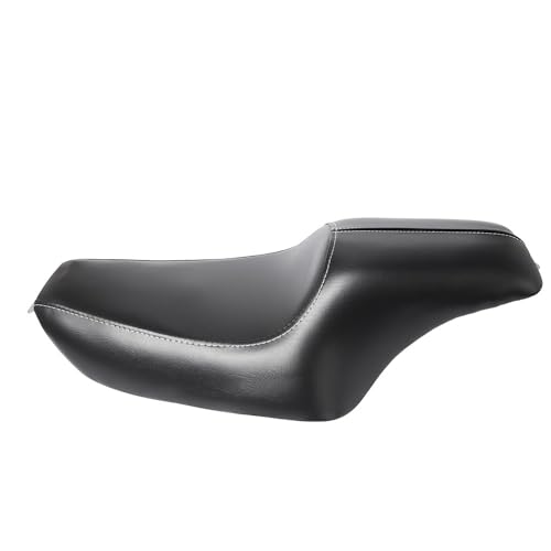 Asiento doble de Sportster XL para viajar acompañado en rutas de fin de semana con tu Iron 883 6