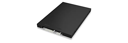 ICY BOX IB-M2S251 M.2 SSD Enclosure Nero