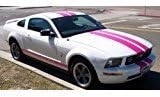 Pink Dual 10" Racing Stripe Kit For Ford Mustang & GT 05-09