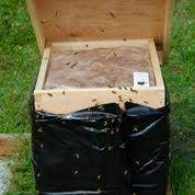 Hansen Honey Farm Bee Cozy Insulated Inner Cover Pad (10 Frame)