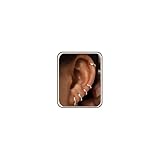 FIOROYAL 5Pares Pendientes Aro Oro Plata Mujer Juego de Pendientes Aro Pequeños Hipoalergénicos Chapados en Oro de 14K, Pendiente Aros Dorados Circonita Cúbica Hombre Niñas 6/7/8/9/10mm S