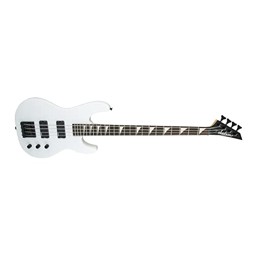 Professional Bass Guitar Starter Bundle