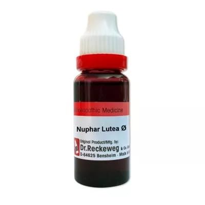 Dr Reckeweg Nuphar Lutea Q 20ml