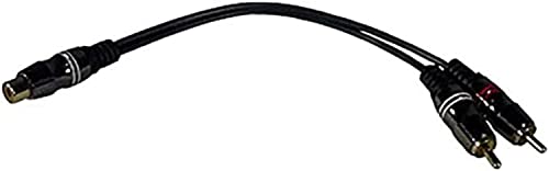 Câble en Y Raymarine CP450 C pour double sonde Chirp