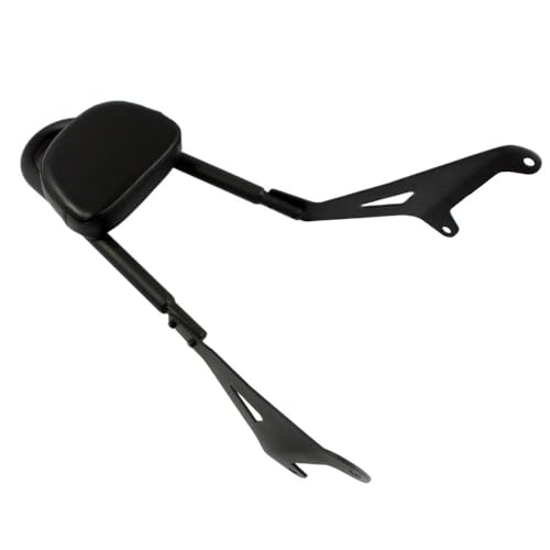 Dossier passager amovible avec coussin de dossier moto Stryker XVS1300