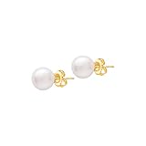 14K Yellow Gold Round White Freshwater Cultured Pearl Sorority Sister Stud Earrings - 7mm-7.5mm