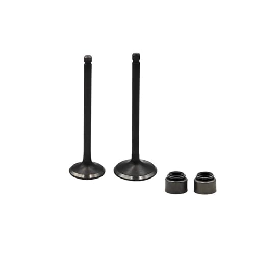 Kit tige de soupape et joint d'huile étanche YFM250 YFB250 2WD