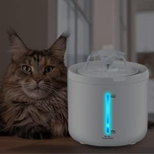 6 Pack Replacement Filter for FYD 2L Cat Pet Automatic Water Fountain