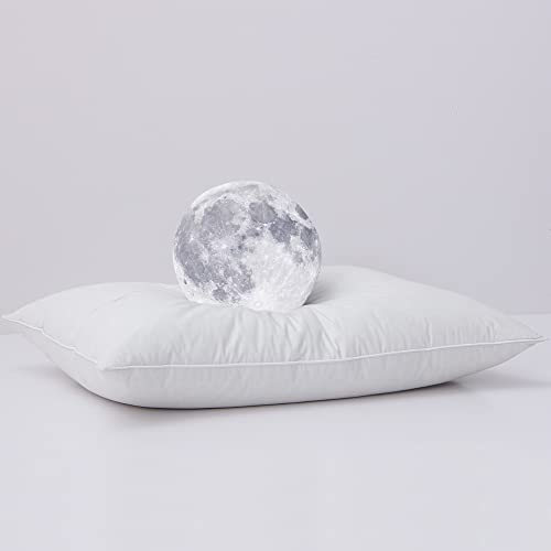 L Lovsoul Goose Feather Down Pillows King Size For Back Sleeper, 100% Soft Cotton Cover, Medium Firm King Size Hotel Collection Pillow 1 Pack(20X36 Inches) #TOP19