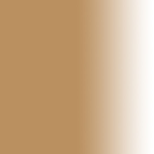 Dinair Airbrush Makeup Foundation | Olive Beige | Glamour: Natural, Light Coverage, Matte 0.50 Oz. #TOP1