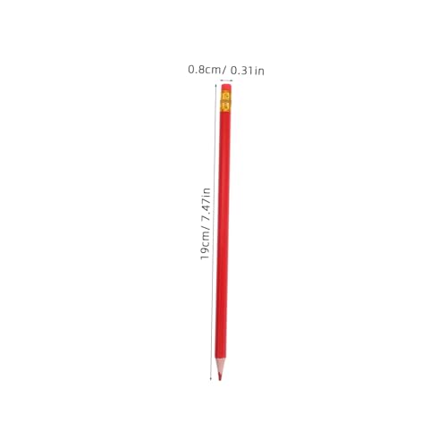 Abaodam 12 ԐFM Zp`Obv ϐF[NyV pi wZpXPb` hG