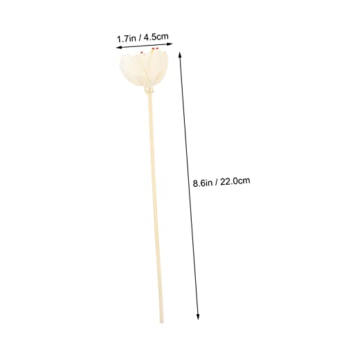 BESTYASH 10 piezas sticks decorativos para difusor de aroma miniatura 2