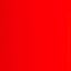 Neon Orange Neon Orange