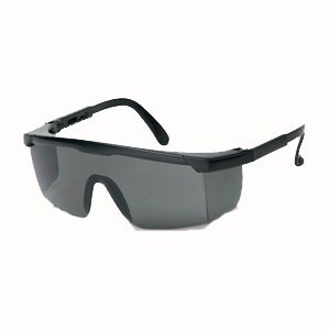 Grey Tinted Lens, Black Frame, 12/case