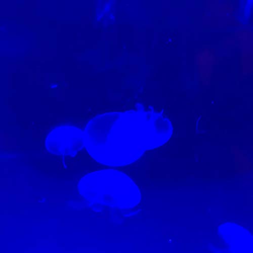 ⣎⡇ꉺლ༽இ•̛)ྀ◞ ༎ຶ ༽ৣৢ؞ৢ؞ؖ ꉺლ