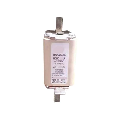 Fusible RS306-00-NGC aR 125A 690VAC pour protection industrielle