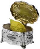 Kosher Complete Lulav and Esrog Etrog Set
