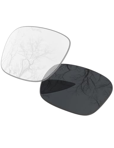 ToughAsNails Lentes polarizados de repuesto para gafas de sol Costa Del Mar Sampan, más opciones, Transparente fotocromático, Talla única