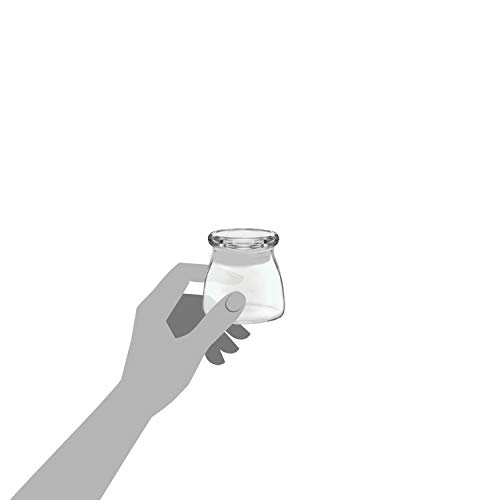 Libbey Vibe Mini Glass Jars with Lids, 4.5-ounce, Set of 12