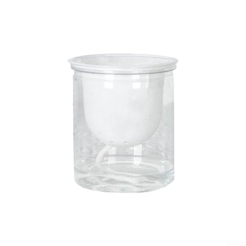 2 macetas transparentes de autorriego para uso en interiores y exteriores, ideales para flores y hierbas