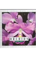 Hardcover Orchids (Let's Investigate. Plants) Book