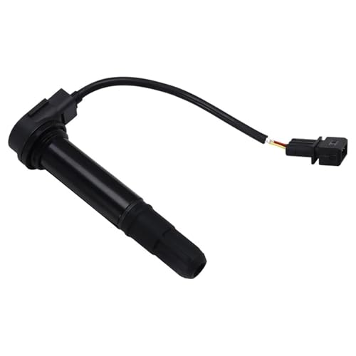 Bobina de encendido para motocicleta Keeway RKX300 y STELS 600 (Repuesto 96200P300000)