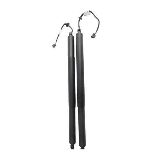 Jambes force hayon pour Nissan Qashqai 2021-2025 avec levage électrique fluide 905606UA0A