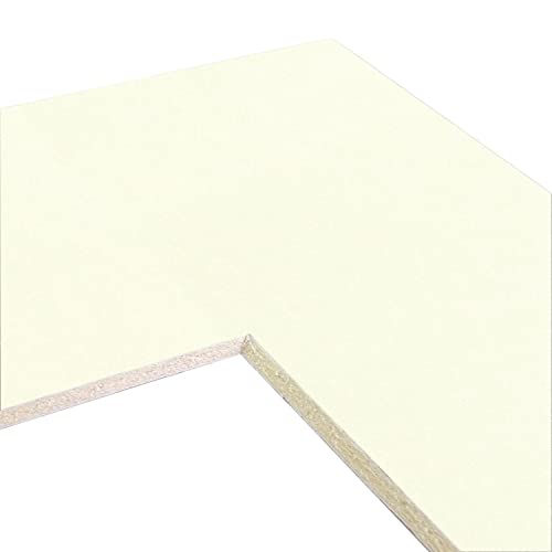 Craig Frames B504 Pre-Cut Mat Board for 14X18 Print, 20X24, Buff White
