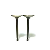 EX17 EX21 .& Set Fit for EX21 EX17 Generator Einlass Outlet