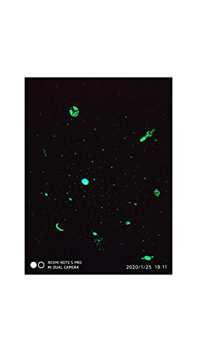 Image of JASH Glow In The Dark Paint Powders 2 colours Green and Blue colour Each 25gm(Total 50gm)
